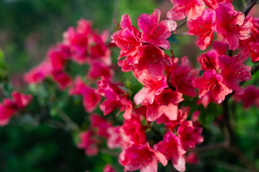 640.webp (13).jpg